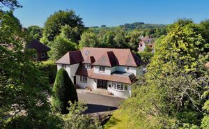 Photo 42- click for photo gallery